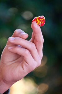 バツイチ向け婚活サイトの比較ポイントは？