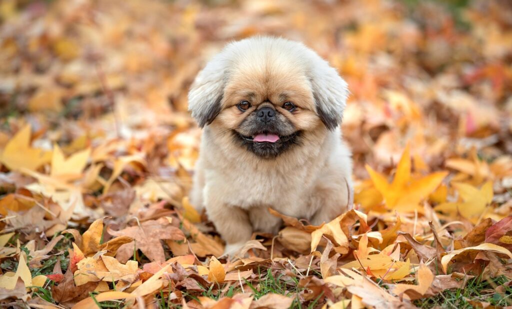 子持ちのための婚活における成功の秘訣は？