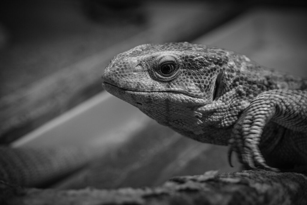 バツイチが離婚歴をカミングアウトする際のタイミングは？