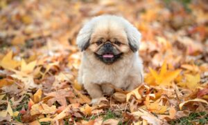 バツイチ女性がモテるのはなぜ？