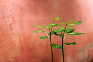 30代バツイチが再婚活の婚活アプリを退会したい時の対処法は？