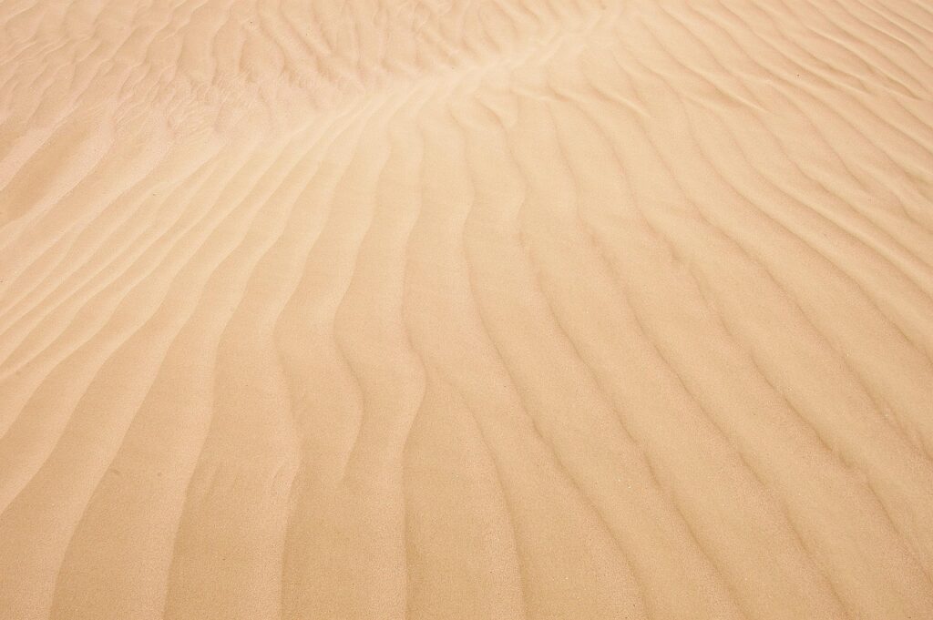 離婚後女性が恋愛の寂しさと向き合う方法は？