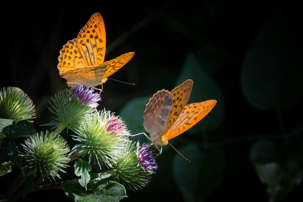 シングルマザーが恋愛相手を子どもに会わせた後の注意点は？